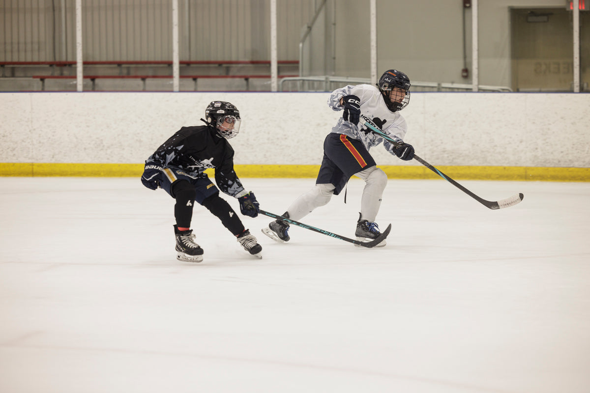 Elmvale PA Day Hockey Clinic | Nov 20 | U11 to U14 - Hockey Moves