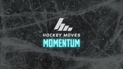 Final Payment 2014/2013 MOMENTUM Spring Team